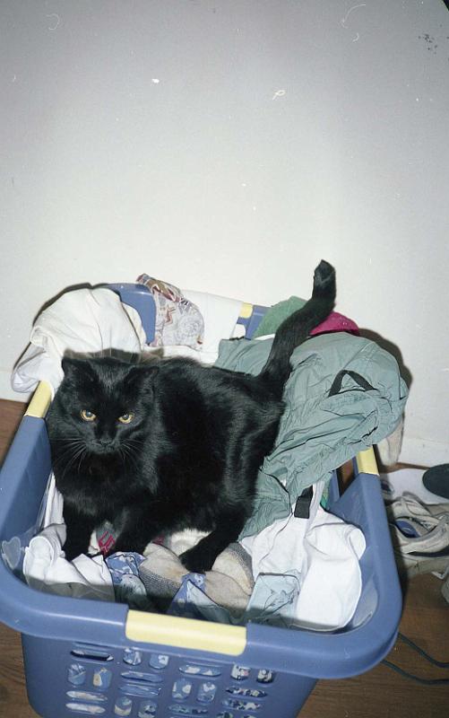 1998-01 Jesse.jpg